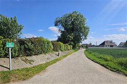 Rue des Berberis - Lintot